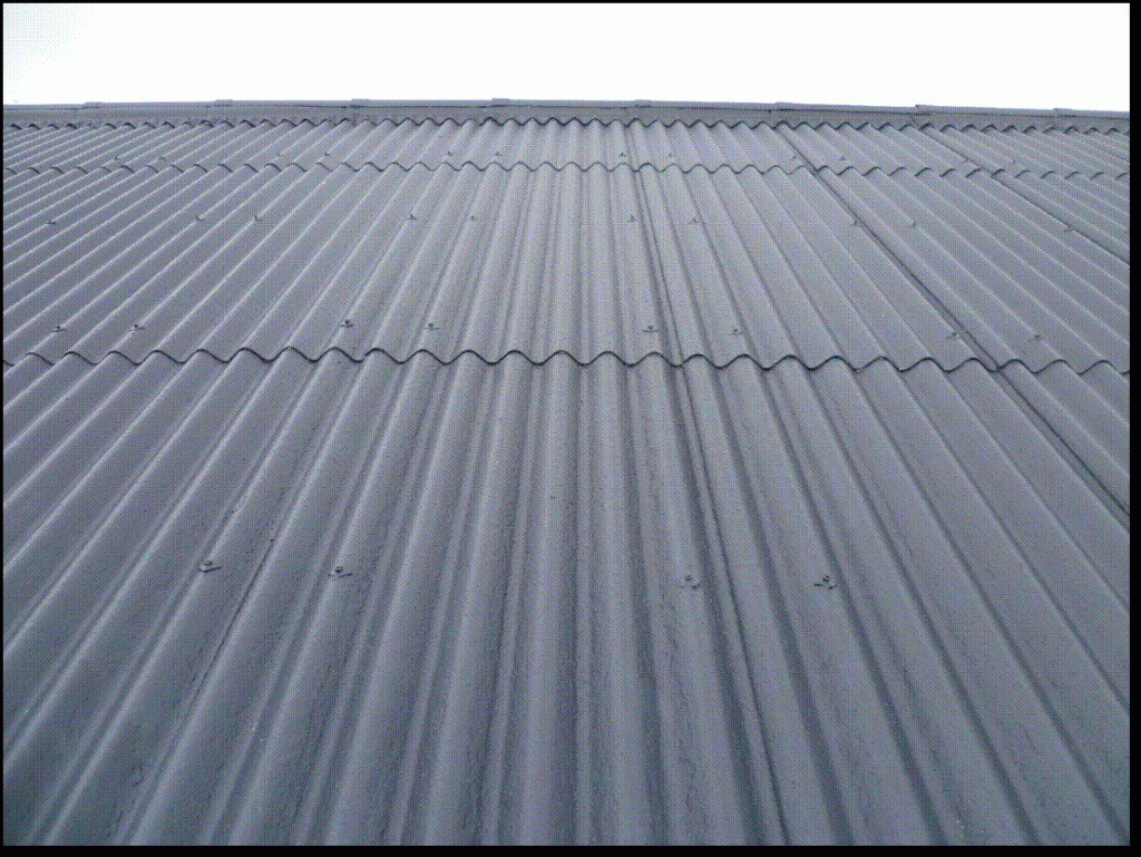 Case Study Cleaning and Coating of Asbestos Roof